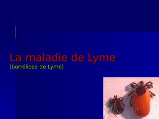 BorrÃ©liose+de+Lyme+cours.pps
